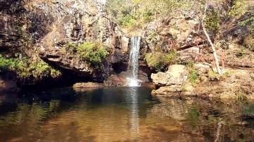 Memorable 4 Days 3 Nights Kanha National Park Tour Package