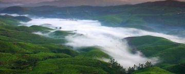 Pleasurable 4 Days Cochin to Munnar Holiday Package