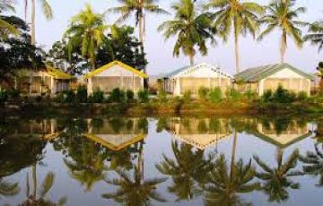 Ecstatic Bhitarkanika Forest Tour Package for 4 Days