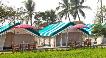 Ecstatic Bhitarkanika Forest Tour Package for 4 Days