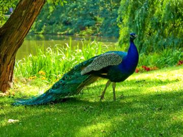 2 Days 1 Night Chincholi with Nighoj Weekend Getaways Trip Package