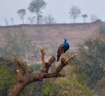 2 Days 1 Night Chincholi with Nighoj Weekend Getaways Trip Package