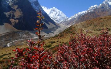 Beautiful 18 Days 17 Nights Kathmandu, Soti Khola, Machhakhola and Jagat Vacation Package