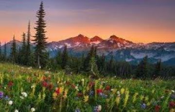 Experience 6 Days 5 Nights Nainital Vacation Package