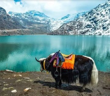 Heart-warming Siligurinjp Railway Station Ixb Airport - Gangtok Tour Package for 4 Days from Gangtok - Njp Railway Station Ixb Airport