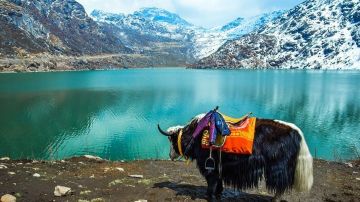 4 Days Gangtok, Darjeeling, North Sikkim with West Sikkim Mountain Tour Holiday Package