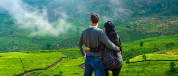 Amazing 3 Days 2 Nights Munnar and Cochin Trip Package