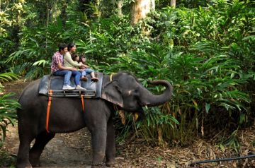 Best Alleppey Tour Package for 5 Days from Cochin
