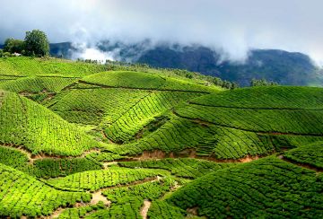 Family Getaway 8 Days Trivandrum to Munnar Holiday Package