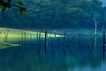 Family Getaway 8 Days Trivandrum to Munnar Holiday Package