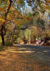 Experience 5 Days Ladakh Tour Package