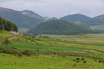 Ecstatic Thimphu Tour Package from Paro Airport