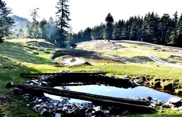 Magical Theog Tour Package for 3 Days 2 Nights