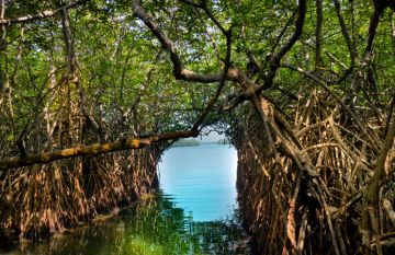 Amazing 4 Days Bentota, Sri Lanka, Colombo with Negombo Tour Package