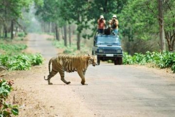 Family Getaway Kanha National Park Tour Package for 6 Days 5 Nights