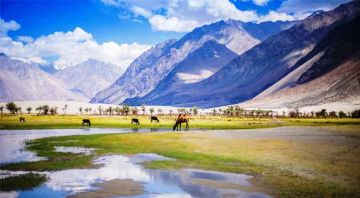 Pleasurable 7 Days Leh-sham Valley-leh Vacation Package