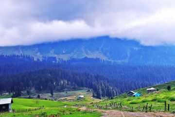 Experience 5 Days Srinagar to Sonmarg Tour Package
