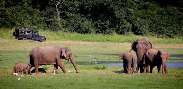 Magical 6 Days 5 Nights Negombo, Sigiriya, Nuwara-eliya with Colombo Trip Package