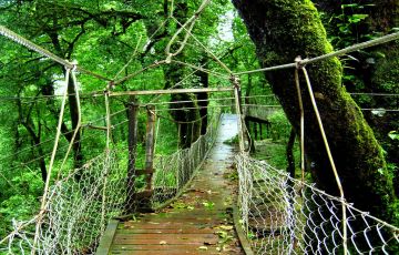 Family Getaway 3 Days Siliguri Vacation Package