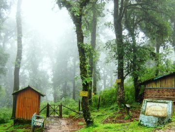 Family Getaway 3 Days Siliguri Vacation Package