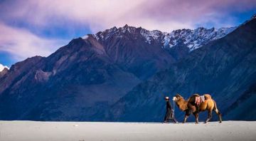 Magical Nubra Valley To Leh Tour Package from Leh