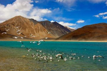 Family Getaway 5 Days 4 Nights Nubra Valley To Pangong via Shayok Tour Package