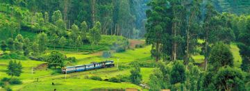 Heart-warming 4 Days 3 Nights Ooty Beach Holiday Package
