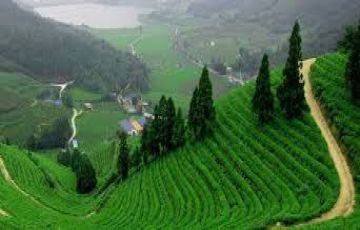 Magical Aizawl Tour Package for 19 Days 18 Nights from Guwahati