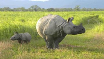 Magical Aizawl Tour Package for 19 Days 18 Nights from Guwahati