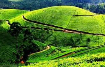 Ecstatic 7 Days 6 Nights Darjeeling with Gangtok Tour Package