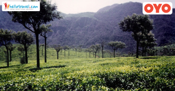 Beautiful 7 Days 6 Nights Ooty, Mysore, Coorg and Bangalore Tour Package