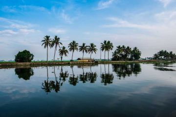 Pleasurable 6 Days Cochin, Munnar, Thekkady and Alleppey Tour Package