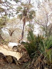 Memorable 5 Days 4 Nights Lusaka, Zambia and Lower Zambezi Tour Package