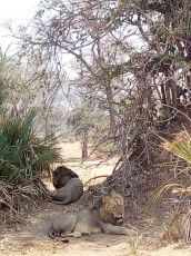 Memorable 5 Days 4 Nights Lusaka, Zambia and Lower Zambezi Tour Package