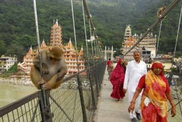 Ecstatic 5 Days 4 Nights Rishikesh, Auli, Haridwar and Delhi Tour Package