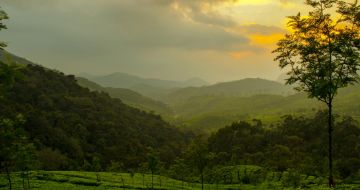 Family Getaway 6 Days Cochin to Thekkady Tour Package