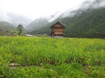 Memorable Sangla Tour Package for 7 Days 6 Nights
