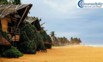 Family Getaway 6 Days 5 Nights Colombo, Nuwara Eliya, Bentota with Gallebentota Holiday Package