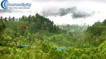 Family Getaway 6 Days 5 Nights Colombo, Nuwara Eliya, Bentota with Gallebentota Holiday Package