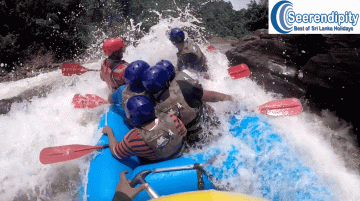 Family Getaway 6 Days 5 Nights Colombo, Nuwara Eliya, Bentota with Gallebentota Holiday Package