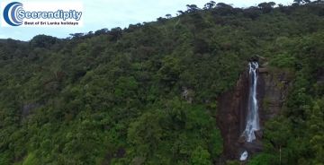 Family Getaway 6 Days 5 Nights Colombo, Nuwara Eliya, Bentota with Gallebentota Holiday Package