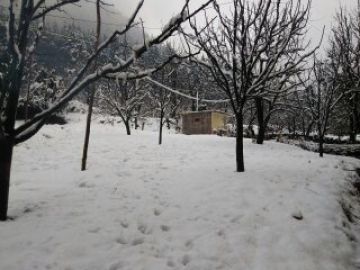 Experience 7 Days 6 Nights Shimla, Manali with Delhi Holiday Package