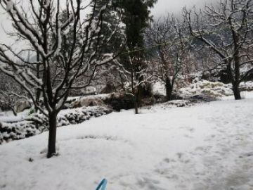 Experience 7 Days 6 Nights Shimla, Manali with Delhi Holiday Package