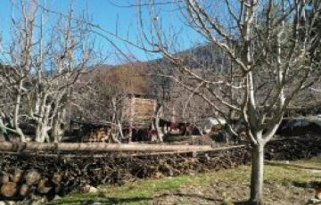 Experience 7 Days 6 Nights Shimla, Manali with Delhi Holiday Package