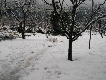 Experience 4 Days Delhi to Shimla Trip Package