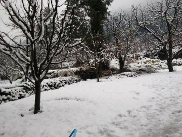 Experience 4 Days Delhi to Shimla Trip Package