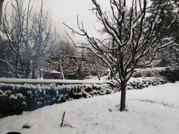 Experience 4 Days Delhi to Shimla Trip Package