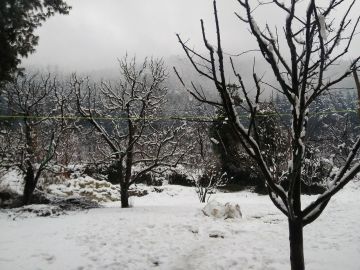 Experience 4 Days Delhi to Shimla Trip Package