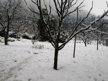 Experience 4 Days Delhi to Shimla Trip Package