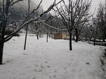 Experience 4 Days Delhi to Shimla Trip Package